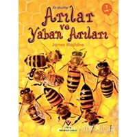İlk Okuma - Arılar ve Yaban Arıları - James Maclaine - TÜBİTAK Yayınları