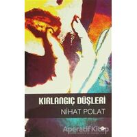 Kırlangıç Düşleri - Nihat Polat - P Kitap Yayıncılık