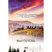 Çalı Çileği - Birol Öztürk - Gece Kitaplığı