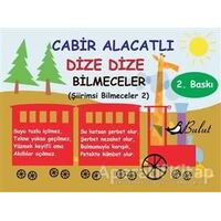 Dize Dize Bilmeceler - Cabir Alacatlı - Bulut Yayınları