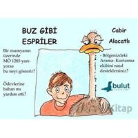 Buz Gibi Espriler - Cabir Alacatlı - Bulut Yayınları