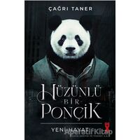 Hüzünlü Bir Ponçik - Çağrı Taner - Dex Yayınevi