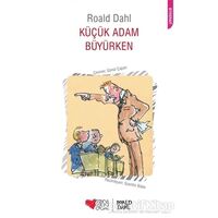 Küçük Adam Büyürken - Roald Dahl - Can Çocuk Yayınları