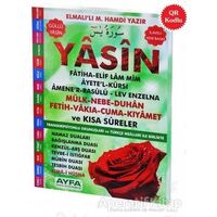 Yasin - Elmalılı Muhammed Hamdi Yazır - Ayfa Basın Yayın