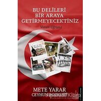 Bu Delileri Bir Araya Getirmeyecektiniz - Ceyhun Bozkurt - Destek Yayınları