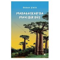 Madagaskar’da Mavi Bir Düş - Erhan Şibik - Kayalıpark Çocuk