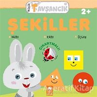 Şekiller - Küçük Tavşancık - Rasa Dmuchovskiene - Eksik Parça Yayınları
