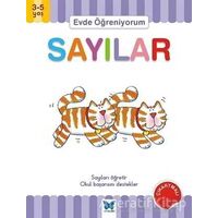 Evde Öğreniyorum - Sayılar - Jenny Ackland - Mavi Kelebek Yayınları