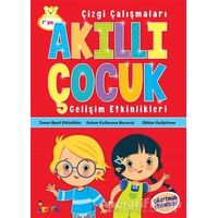 Çizgi Çalışmaları - Akıllı Çocuk - Kolektif - Bıcırık Yayınları