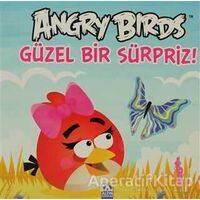 Angry Birds - Güzel Bir Sürpriz! - Kolektif - Altın Kitaplar