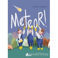 Meteor! - Gözde Başkent - Çınar Yayınları