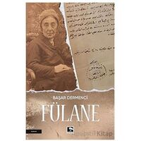 Fülane - Başar Dermenci - Çınaraltı Yayınları