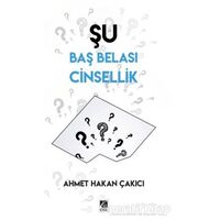 Şu Baş Belası Cinsellik - Ahmet Hakan Çakıcı - Çıra Yayınları