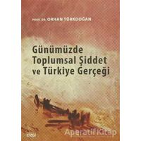 Günümüzde Toplumsal Şiddet ve Türkiye Gerçeği - Orhan Türkdoğan - Çizgi Kitabevi Yayınları