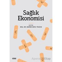 Sağlık Ekonomisi - Kolektif - Çizgi Kitabevi Yayınları