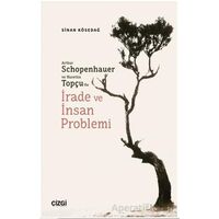 Arthur Schopenhauer ve Nurettin Topçu’da İrade ve İnsan Problemi