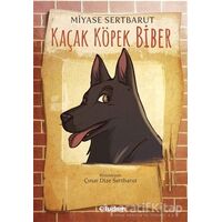 Kaçak Köpek Biber - Miyase Sertbarut - Tudem Yayınları