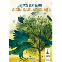 Sisin Sakladıkları - Miyase Sertbarut - Tudem Yayınları