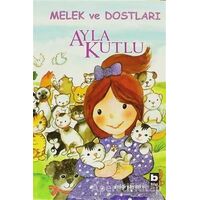 Melek ve Dostları - Ayla Kutlu - Bilgi Yayınevi