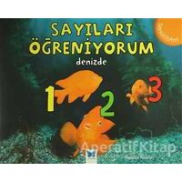 Sayıları Öğreniyorum - Denizde - Rebecca Rissman - Mavi Kelebek Yayınları