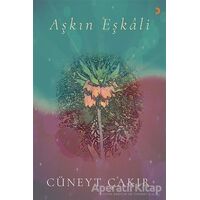 Aşkın Eşkali - Cüneyt Çakır - Cinius Yayınları