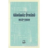 Günümüz Öyküsü - Necip Tosun - Dedalus Kitap