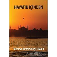 Hayatın İçinden - Mehmet İbrahim Başcumalı - Cinius Yayınları