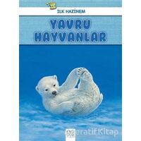 Yavru Hayvanlar - İlk Hazinem - Denise Ryan - 1001 Çiçek Kitaplar