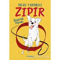 Zıpır Özgürlük Peşinde - Dilek Yardımcı - Tudem Yayınları