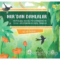 Nur’dan Damlalar - İslam Doğan - Mevsimler Kitap