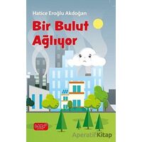 Bir Bulut Ağlıyor - Hatice Eroğlu Akdoğan - Bando Yayınları
