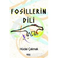 Fosillerin Dili - Hüdai Çakmak - Gece Kitaplığı