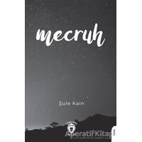 Mecruh - Şule Kain - Dorlion Yayınları