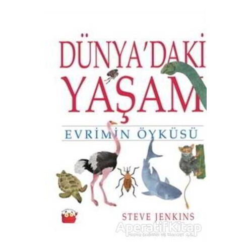 Dünyadaki Yaşam - Steve Jenkins - Kuraldışı Yayınevi