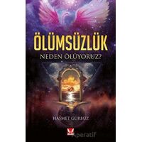 Ölümsüzlük - Haşmet Gürbüz - İkilem Yayınevi