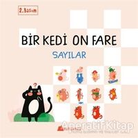 Bir Kedi On Fare - Sayılar - Duygu Yardımcı - Kumdan Kale