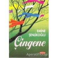 Çingene - Emine Şenlikoğlu - Mektup Yayınları