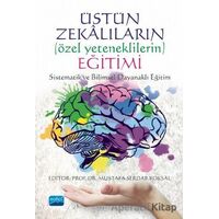 Üstün Zekalıların (Özel Yeteneklilerin) Eğitimi: Sistematik ve Bilimsel Dayanaklı Eğitim