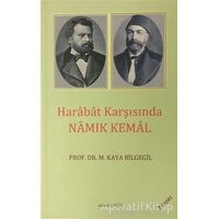 Harabat Karşısında Namık Kemal - M. Kaya Bilgegil - Salkımsöğüt Yayınları