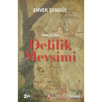 Darüşşifa - Enver Şengül - Puslu Yayıncılık