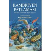 Kambriyen Patlaması - Ergi Deniz Özsoy - BilgeSu Yayıncılık