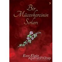 Bir Mücevhercinin Sırları - Eser Elgür - Cinius Yayınları