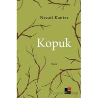 Kopuk - Necati Kanter - Kesit Yayınları