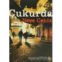 Çukurda - Neşe Cehiz - Everest Yayınları