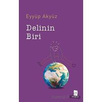 Delinin Biri - Eyyüp Akyüz - Mecaz Yayınları