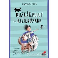 Rüzgar, Bulut ve Kızılkuyruk 3 - Fatma Işık - Erdem Çocuk