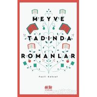 Meyve Tadında Romanlar - Fazlı Köksal - Akıl Fikir Yayınları