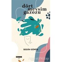 Dört Mevsim Gazozu - Segah Gümüş - Hece Yayınları