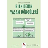 Bitkilerin Yaşam Döngüleri - Gençler İçin Çizgilerle Bilim - Joseph Midthun - Almidilli