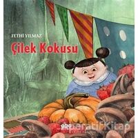 Çilek Kokusu - Fethi Yılmaz - Yapı Kredi Yayınları